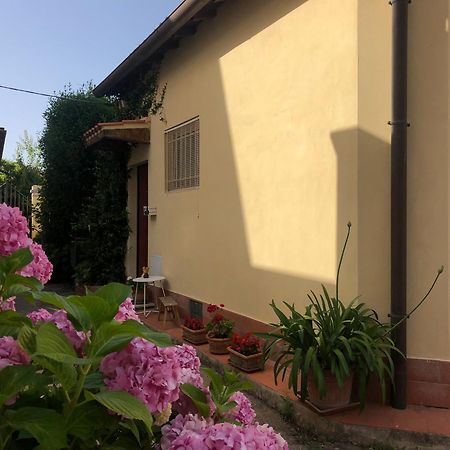Casina Di Nina Lejlighed Livorno Eksteriør billede